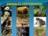 Los animales: Vertebrados e invertebrados