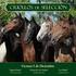 CRIOLLOS. 29 de Noviembre - 19 Hs. Yeguas de Andar, redomonas y potras. Flete Gratis. Rural del Prado. Las Cortaderas. La Pilar. Los Pasos.