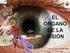 El ojo: el órgano de la visión