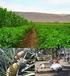 de la producción vegetal