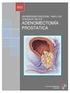 Elaboración y evaluación de la vía clínica de la prostatectomía radical laparoscópica