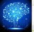 Inteligencia Artificial II Propuesta de trabajo Análisis de Redes Neuronales Artificiales