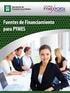 Guía Pyme 2010 Fuentes de financiamiento para micro, pequeñas y medianas empresas