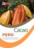 Cacao. Un campo fértil para sus inversiones y el desarrollo de sus exportaciones