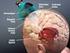 Evaluación del Cortex prefrontal