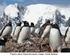 Plan de manejo de la Zona Antártica Especialmente Protegida N o 133 PUNTA ARMONÍA, ISLA NELSON, ISLAS SHETLAND DEL SUR