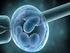 El núcleo y la reproducción celular