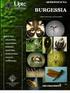 Los élmidos de la región Neotropical (Coleoptera: Byrrhoidea: Elmidae): diversidad y distribución MANZO, Verónica