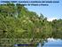CONABIO FN005: Inventario y monitoreo del estado actual de los bosques de manglar de Chiapas y Oaxaca.