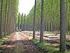 Cambios en el sector forestal de Europa y Rusia