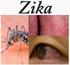 Zika - Actualización Epidemiológica 21 de abril de 2016 Virus del Zika - Incidencia y tendencia Figura 1 Figura 1.