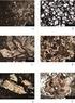 Rocas bajo el microscopio: acercamiento al estudio en lámina delgada de minerales y rocas