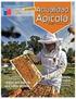 Negocio apícola: será factible e interesante exportar miel diferenciada?? Talca, 04 de Febrero 2011 Ricardo Zilleruelo