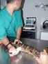 Bioquímica clínica diagnostica en reptiles