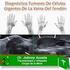 Diagnóstico por RM del Tumor de Células Gigantes de Vaina Tendinosa y diagnóstico diferencial.