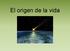 El origen de la vida