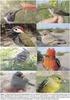 Diversidad, abundancia y conservación de aves en un agroecosistema del desierto de Ica, Perú