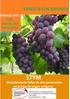 STYM es un nutriente orgánico de rápida y total absorción por las plantas.