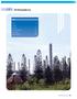 PETROQUÍMICA. Plantas 38. Complejos 8. Ductos (km) Capacidad instalada (Mt) Producción (Mt) Ventas internas (Mt) 2 488