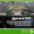 CBD COP 13. Introducción Temas de la Agenda 1 a 2. Secretaría del CDB Reuniones preparatorias regionales para la COP Agosto 2016