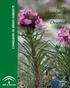 Introducción a la vegetación de Andalucía Oriental