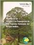 Micropropagación de tres especies maderables de importancia económica y ecológica para Costa Rica TECA - PILÓN - CAOBA