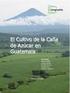 La Huella de Carbono del Azúcar de Guatemala, Zafra
