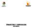 H. AYUNTAMIENTO CONSTITUCIONAL DE HUIMANGUILLO, TABASCO. TRIENIO TRAMITES Y SERVICIOS DECUR MUNICIPAL