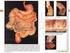 Es la región del cuerpo que se encuentra comprendida en el tronco entre la región torácica y la región pélvica o pelviana.