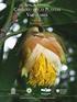 Actualización de la Flora Orquídeológica del macizo montañoso Guamuahaya, Cienfuegos, Cuba