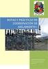 TEOREMAS DE REDES EN C.A. Mg. Amancio R. Rojas Flores