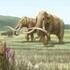 Los mamuts se extinguieron por los impactos combinados del cambio climático y de los humanos