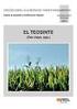 PLAGAS DEL MAIZ: INSECTOS PARTE AÉREA 1. Agustín Perdiguer Brun (Centro de Sanidad Vegetal)