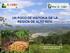 UN POCO DE HISTORIA DE LA REGIÓN DE ALTO BENI. III Congreso Nacional de Sistemas Agroforestales de Bolivia