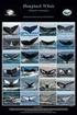 CATÁLOGO DE FOTO-IDENTIFICACIÓN DE BALLENAS JOROBADAS DE FUNDACIÓN CEQUA REGIÓN DE MAGALLANES