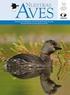 AVES EXÓTICAS EN EL ÁMBITO AGROPECUARIO, MÉTODOS DE CONTROL Y ERRADICACIÓN. Sarmiento R. M., G. E. Méndez A¹. E. López P.²