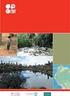 El estado de la conservación y explotación del mero Nassau en la costa Atlántica de Honduras. Stephen Box & Italo Bonilla Mejia