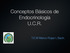Conceptos Básicos de Endocrinología U.C.R. T.E.M Marco Rojas l, Bach.