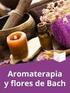 Temario-Contenido-Descripción Diplomado AROMATERAPIA CLINICA
