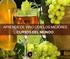 Wine & Spirit Education Trust Nivel 2 Curso Intermedio en Vinos, Licores y Destilados