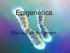 Epigenética en medicina: Más allá del genoma