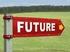 Simple future:will Futuro simple:will