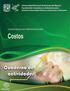 PORTADA COSTOS. Segundo Semestre. 1 de 85
