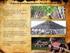 1.- Origen de la industria azucarera. 3.- El sector remolachero azucarero en