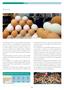 Huevos. Huevos. Al igual que en los últimos años, la balanza comercial del sector de los huevos tuvo un saldo positivo en 2012, ya que