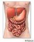 Efectos sobre el Sistema Gastrointestinal: Diarrea