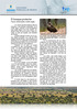 El bosque protector Fauna amenazada: buitre negro