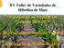 XV Taller de Variedades de Híbridos de Maíz Experiencias en Fertilización Campaña Sección Suelos y Nutrición Vegetal