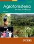 Tecnologías agroforestales ecológicas del suroccidente de Colombia. Actualización: 1/02/08 Alfredo Ospina A. / Ingeniero agrónomo / Colombia.