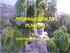 PROPAGACION DE PLANTAS CUESTIONES PROPEDEÚTICAS
